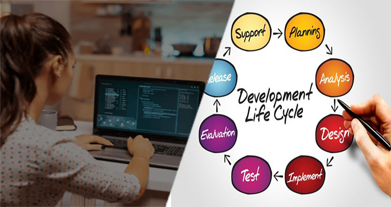 Steps in the Web Application Development Process
